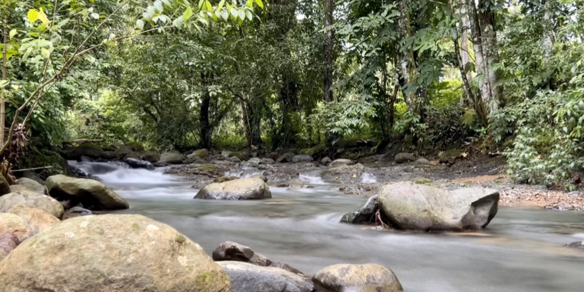 Tres Rios Rivers Three houses on 5 Acres with Tropical Fruit Orchard & Two Rivers in ...