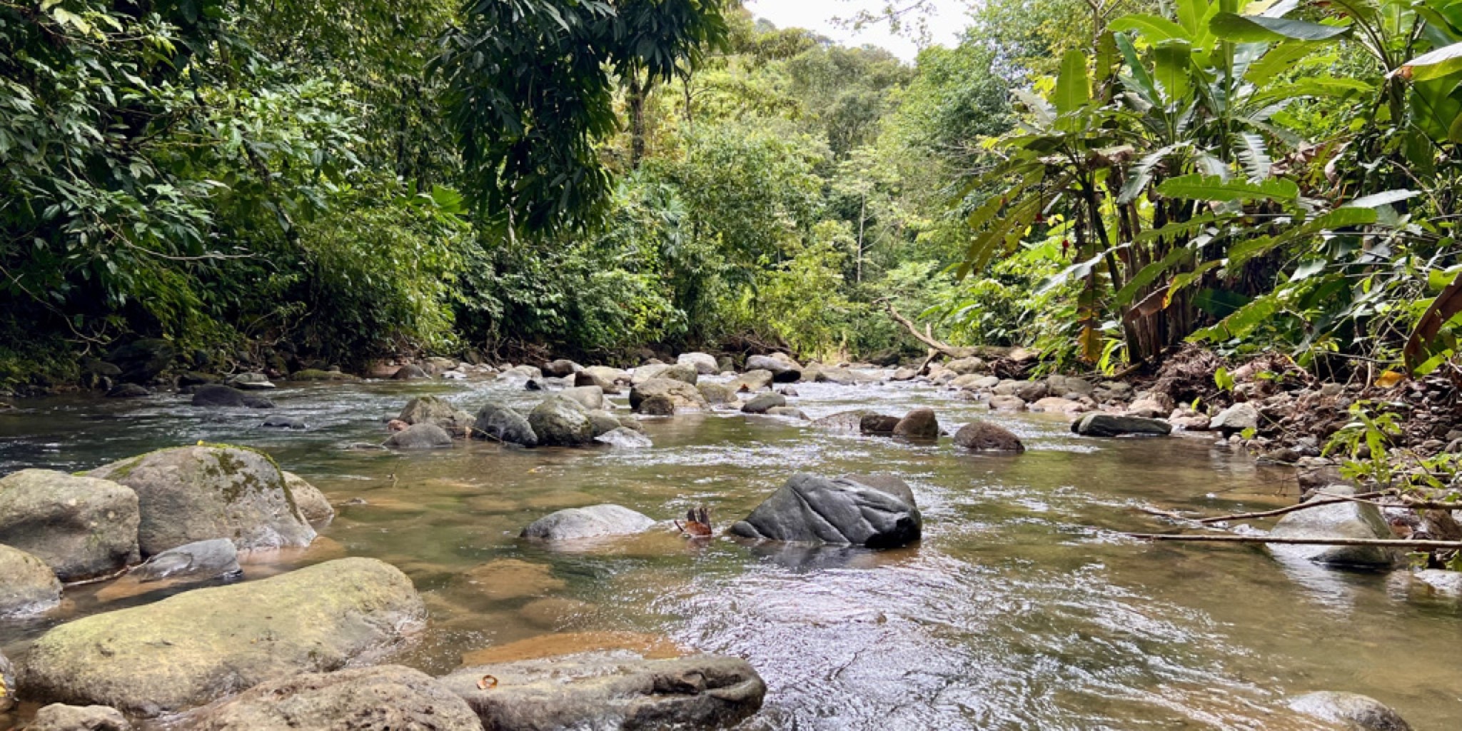 Tres Rios Rivers Three houses on 5 Acres with Tropical Fruit Orchard & Two Rivers in ...