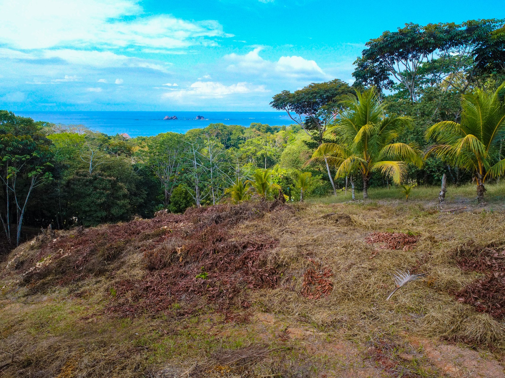 Boutique Resort Development on 14+ Acres with Huge Potential in Ballena
